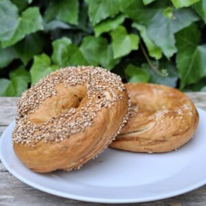 sesame seed bagel