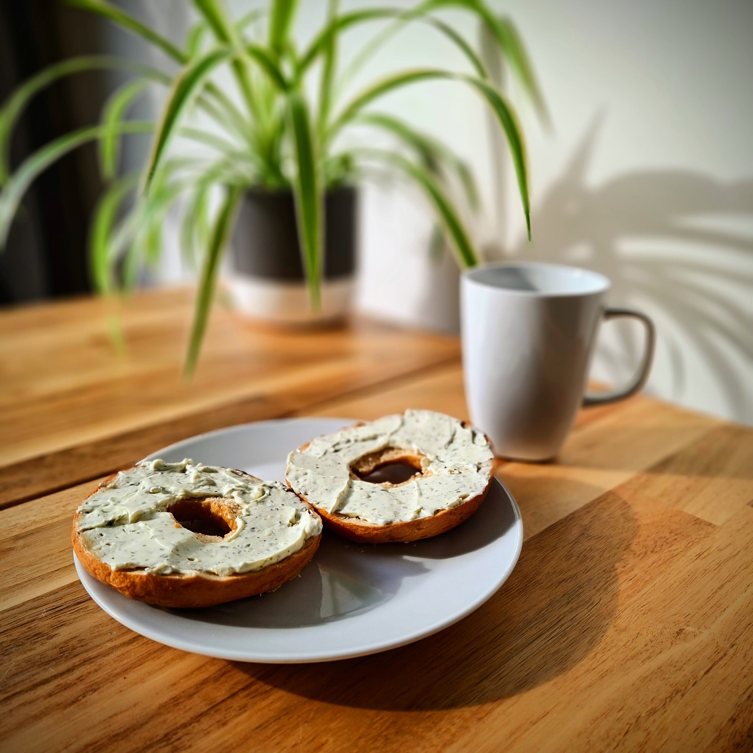 Home cream cheese