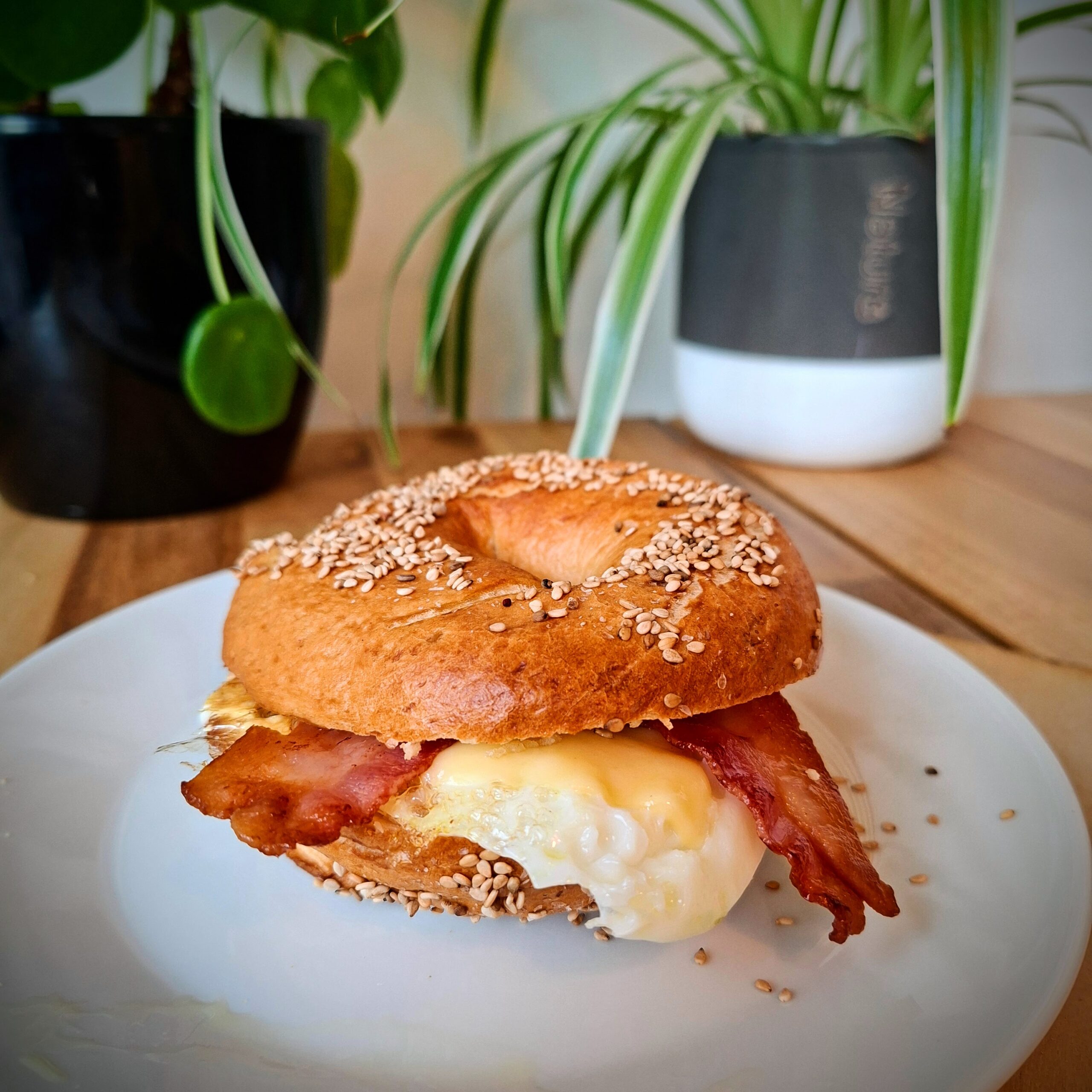 Home egg cheese bacon